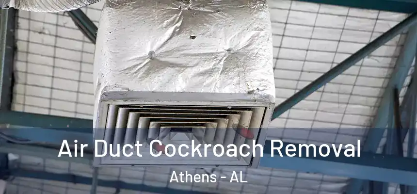  Air Duct Cockroach Removal Athens - AL
