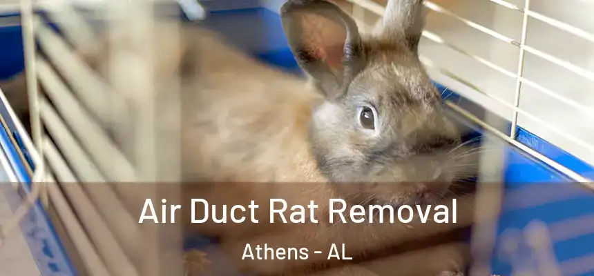 Air Duct Rat Removal Athens - AL