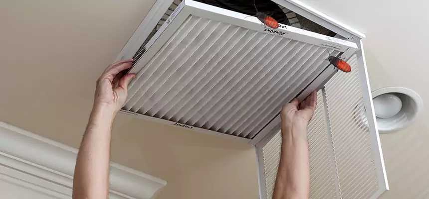 Our Insect Removal from Air Ducts Services in Athens, AL