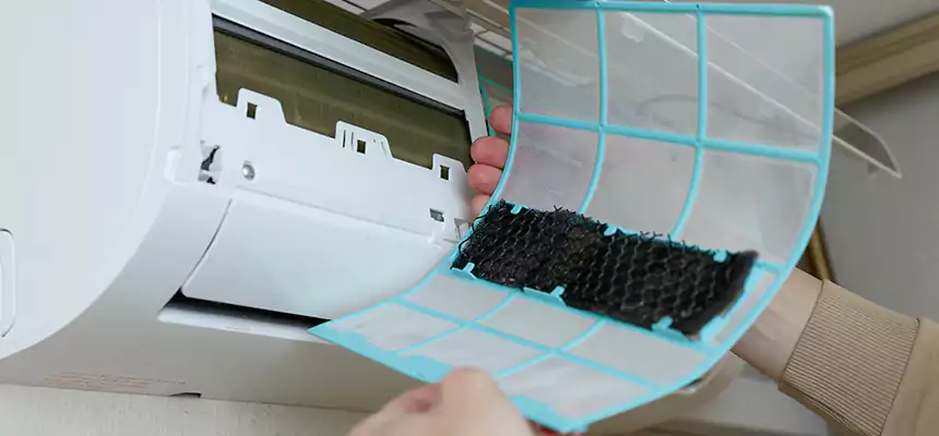 Gentle Ductwork Odor-Control Pet Dander Duct Cleaning in Athens, AL