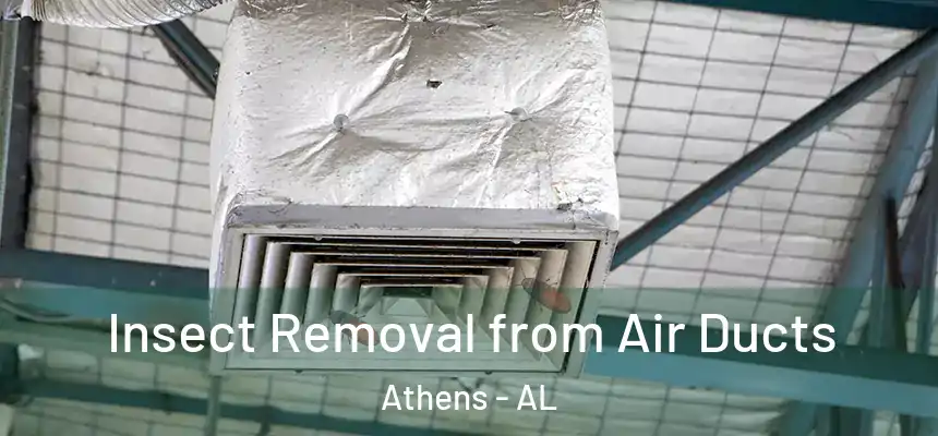Insect Removal from Air Ducts Athens - AL