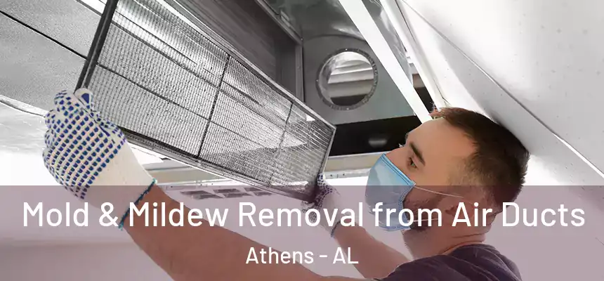  Mold & Mildew Removal from Air Ducts Athens - AL