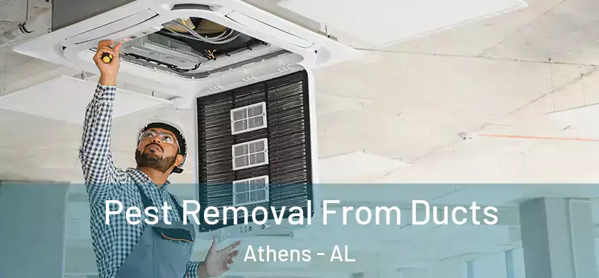  Pest Removal From Ducts Athens - AL