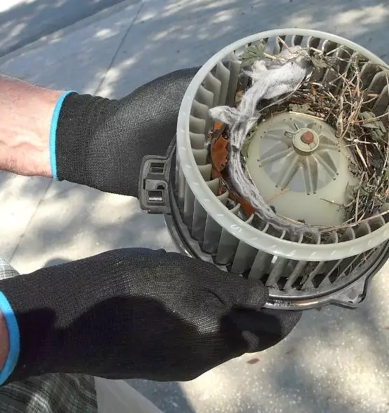 About Air Duct Mice Removal in Athens, AL