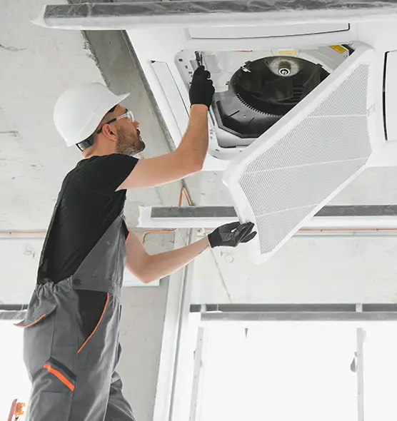 About Air Duct Rodent Removal in Athens, AL